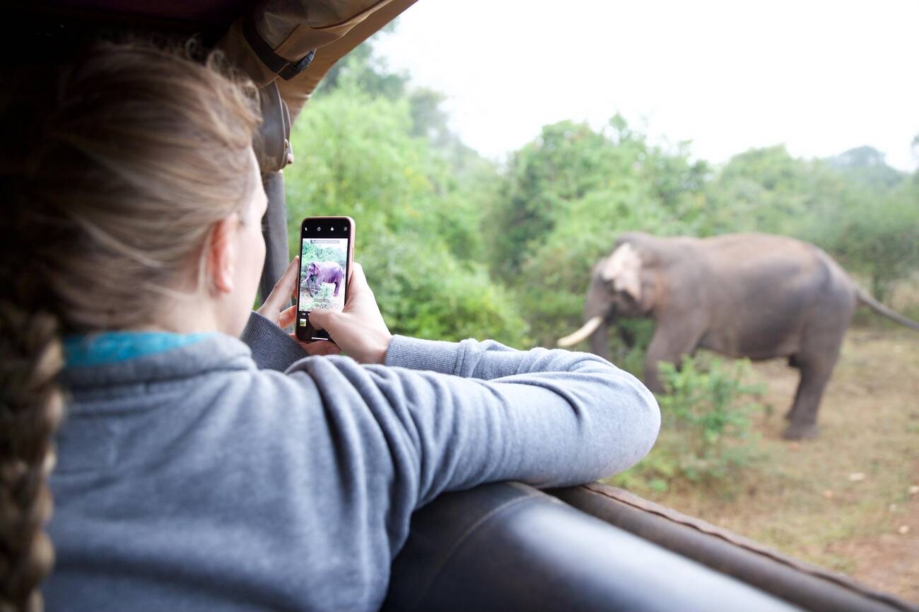 Sri Lanka Safari Adventure 5